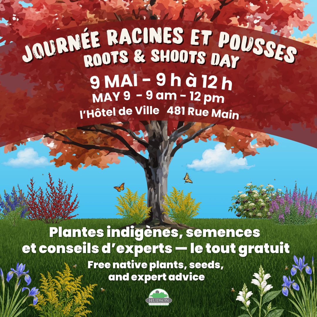 Journée racines et pousses - 9 may 2026
