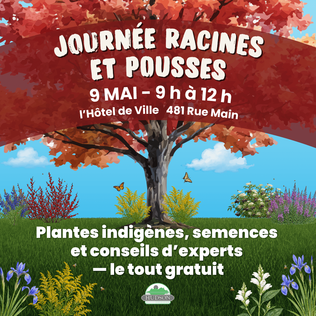 Journée racines et pousses - 9 may 2026